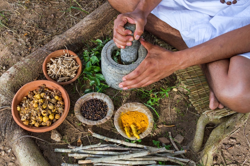 Ayurveda eğitmenlik eğitimi sertifikası